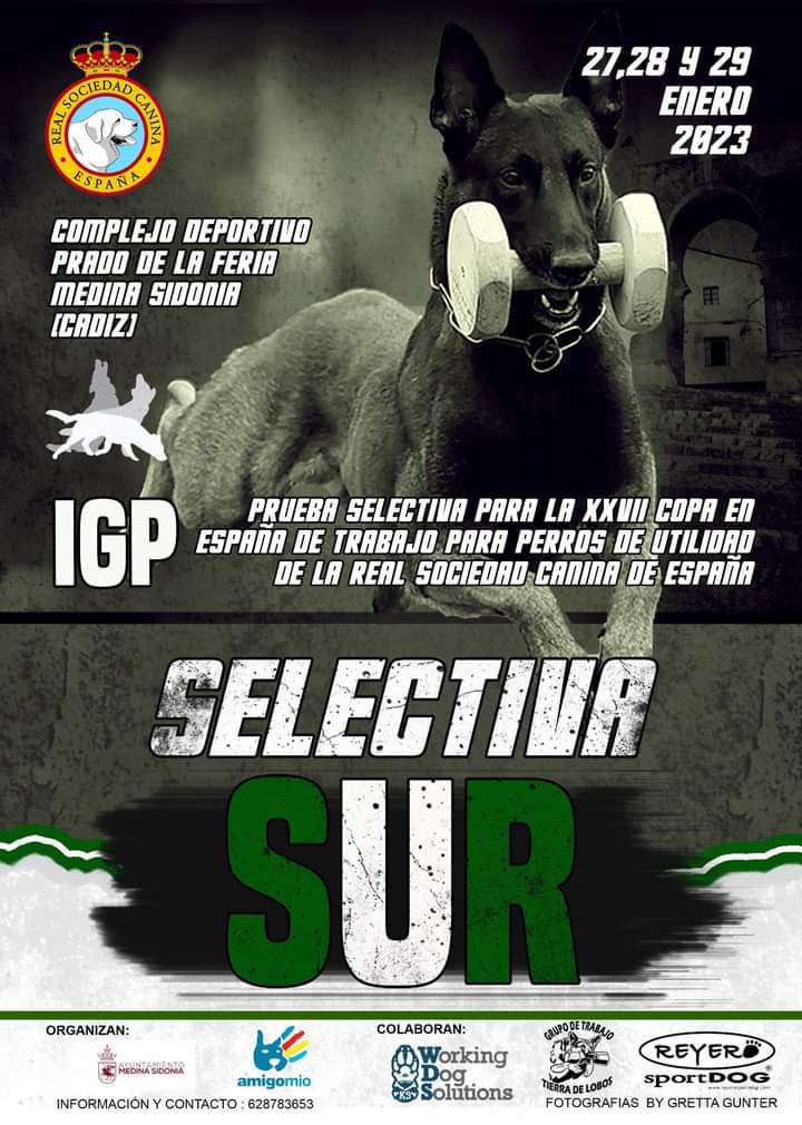 selectiva_sur